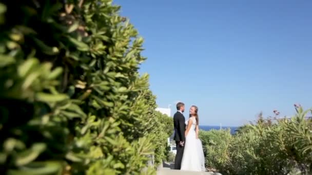 Щасливі молодята в парку біля моря в день весілля . — стокове відео