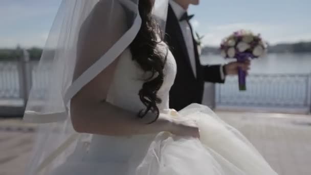 Braut und Bräutigam spazieren entlang der Böschung gegen den blauen See. Hochzeitstag — Stockvideo