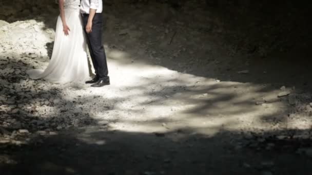 Жених и невеста в лесу в день свадьбы. — стоковое видео
