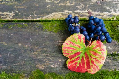 Sonbahar yaprakları ve üzümler, sonbahar arkaplanı, sonbahar renkleri