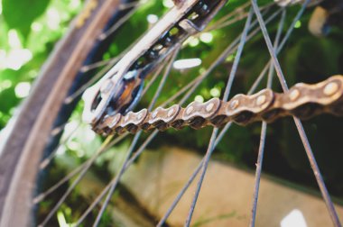 Bisiklet zinciri yaz yeşilliğinin arka planında Güneş ışınlarında