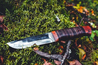 Tahta saplı bir av bıçağı yosunların üzerinde yatıyor.