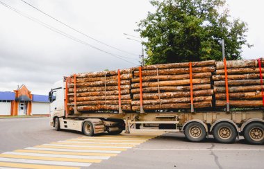 Yeni kesilmiş ormandan odun taşıyan kamyon, büyük kargo konsepti.