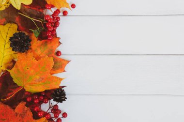 Beyaz ahşap arka plandaki yaprakların sonbahar dekoru. Kopya alanı olan düz sonbahar kompozisyonu.