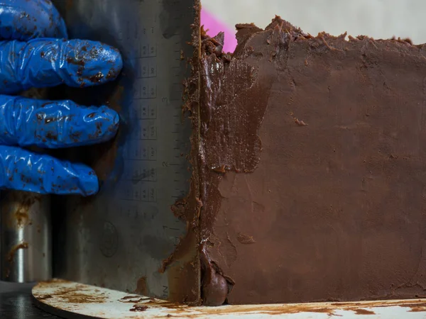 Pasta şefi kız ganache sürülmüş çikolatalı kek yapıyor.