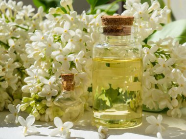 Leylak çiçekli spa yağı. Ahşap bir arka planda bir şişe aromatik yağ ve beyaz leylak çiçeği.