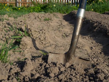 Tarım işi sırasında, baharda bahçedeki yerde metal kürek.