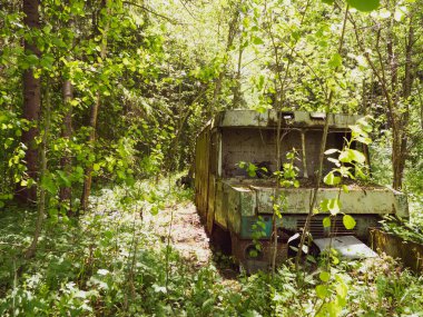 old abandoned van in the thick of the forest