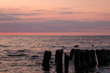 Sahilde güzel mor gün batımı