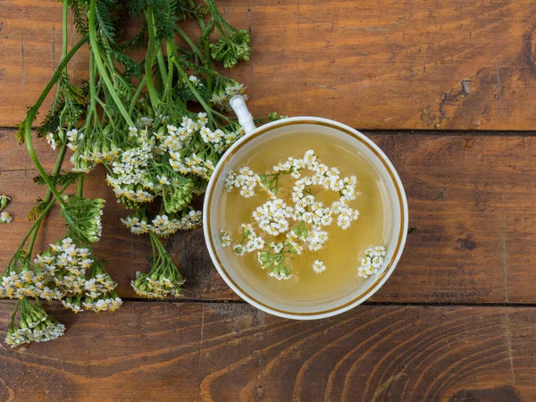 Achillea Pianta Medicinale Una Tazza Con Decotto Fiori Achillea Uno — Foto Stock