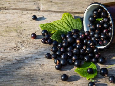 Kupada siyah frenk üzümü ve ahşap bir masaya serpiştirilmiş.