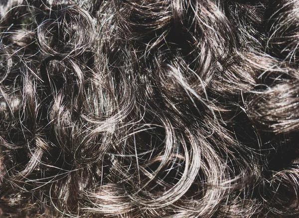 Tekstura Czarnych Kręconych Włosów Siwymi Włosami Zbliżenie — Zdjęcie stockowe