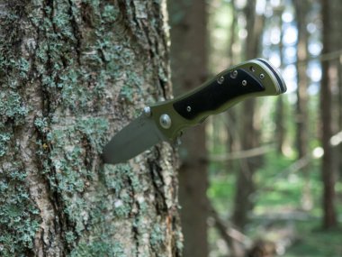 Ormanın arka planında av bıçağı. Yakın plan.