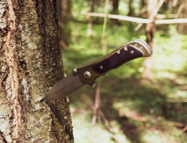 Ormanın arka planında av bıçağı. Yakın plan.