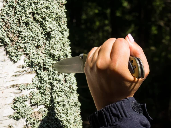 Die Hand Des Mädchens Steckt Ein Messer Den Baumstamm — Stockfoto