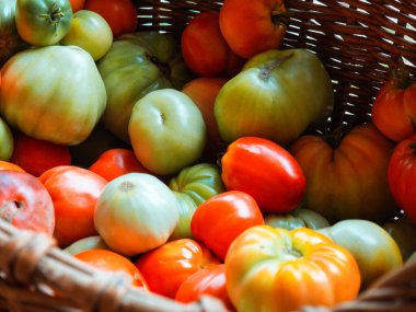 Sepette farklı renklerde taze domatesler.