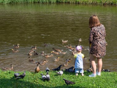 Anne ve çocuk şehir gölünün kıyısında kuşları besliyor.
