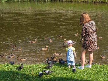 Anne ve çocuk şehir gölünün kıyısında kuşları besliyor.