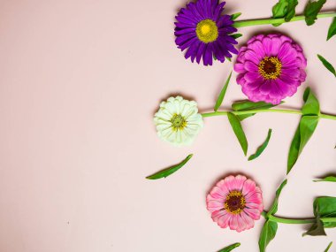 Pembe arka plan fotokopi alanı üzerinde parlak renkli çiçekler, bir kartpostal ve tatil için.