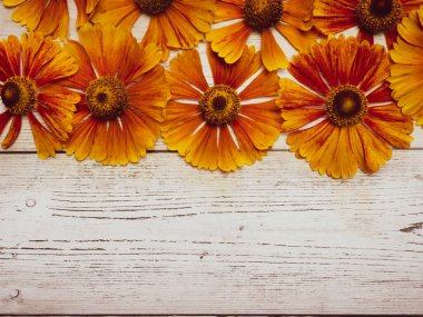 Beyaz ahşap bir masada sarı çiçek deseni. Yukarıdan bak. kopya alanı, kartpostallar için arkaplan