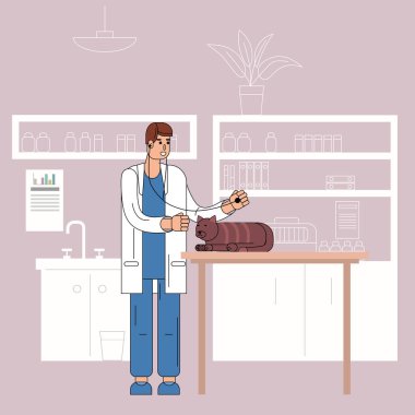 Veteriner doktor, kediyi muayene ediyor. Steteskopla tedavi eden veteriner. Veterinerlik Sağlık Hizmetleri Kliniği