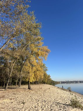 Riverside Dnipro 'nun Altın Sonbahar Plajı, Kyiv Ukrayna