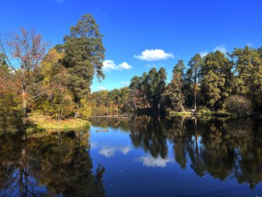 Sonbahar Ormanı Sakin Mavi Göl Yansımaları, Ukrayna, Kyiv