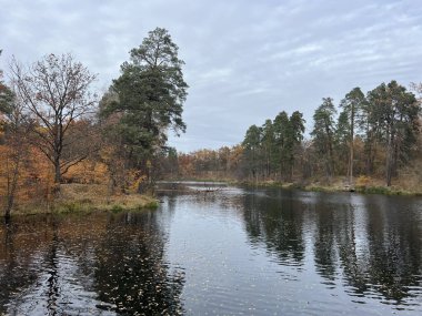 Karışık ormanlarla çevrili yavaş akan bir nehrin olduğu sakin bir sonbahar manzarası. Ukrayna Voditsa Ormanı, Kyiv