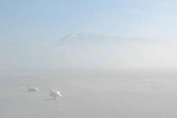 Paysage Hivernal Dans Lac Orestiada Kastoria Grèce — Photo