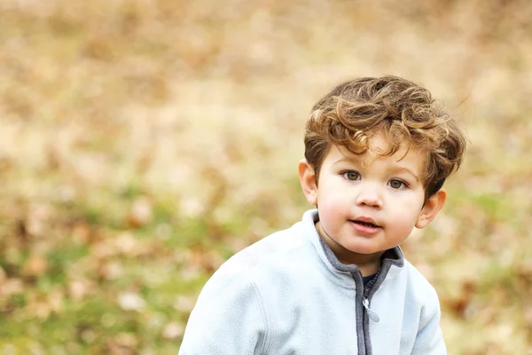 Cute Little Boy — Stock Photo, Image