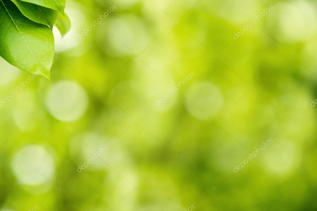 Green nature background Stock Photos, Royalty Free Green nature background  Images | Depositphotos