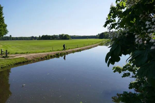 Holländische Landschaft Frühling Mit Einer Figur Fluss Berkel Der Nähe — Stockfoto