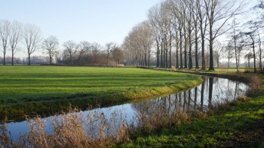 Hollanda 'da Achterhoek, Hollanda' da dere, ağaç ve çayır manzarası