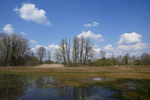 Holländische Torflandschaft Sehr Frühen Frühling Mit Blauem Himmel Und Wolken — Stockfoto
