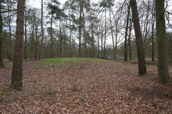 Montículo Entierro Prehistórico Claramente Visible Bosque Cercano Vasse Países Bajos — Foto de Stock