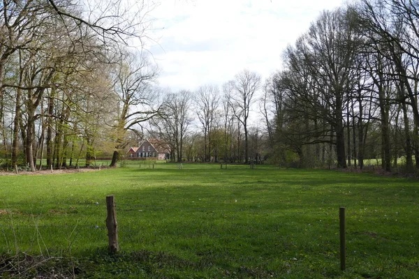 Lugn Landsbygd Med Utsikt Över Ängen Och Med Träd Och — Stockfoto