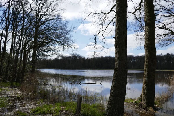 Klidná Holandská Rašelinná Krajina Vodním Prvkem Stromy Jaře — Stock fotografie