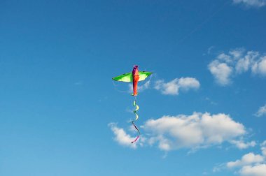 Güneşli bir günde mavi gökyüzünde özgürce süzülen parlak bir uçurtma.,