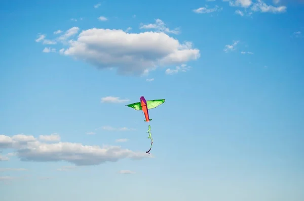 Um papagaio brilhante voando livremente no céu azul em um dia ensolarado claro, — Fotografia de Stock