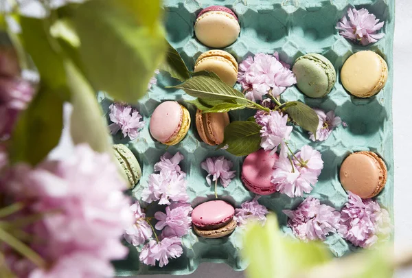 Colored macarons on the table against the background of blooming sakura, easter still life flat lay — Stock Photo, Image