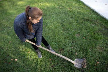 Genç bir kadın yeşil çimlerden köpeğini kürekle temizliyor, evcil hayvanını tımar ediyor ve bölgeyi temiz tutuyor.,