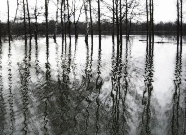 Paisaje inundado de blanco y negro — Foto de Stock
