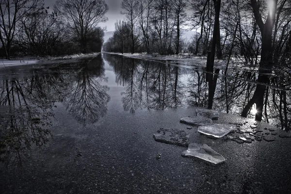 雨の後の黒と白の冬風景写真 ストック画像