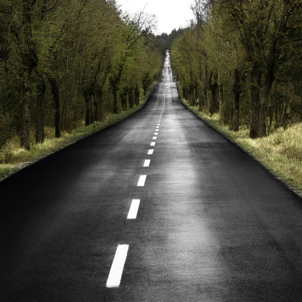 Lonely road — Stock Photo, Image