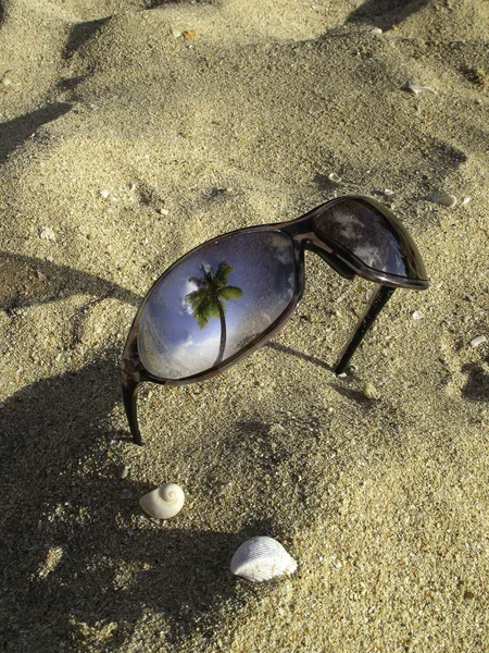 Vertical  picture of sunglasses and sea shells — Stock Photo, Image