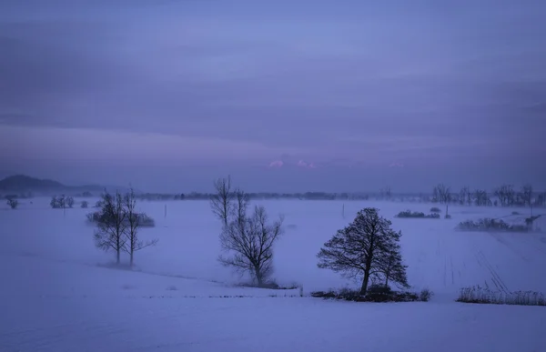 Bonita paisagem de inverno nevado e tranquilo — Fotografia de Stock