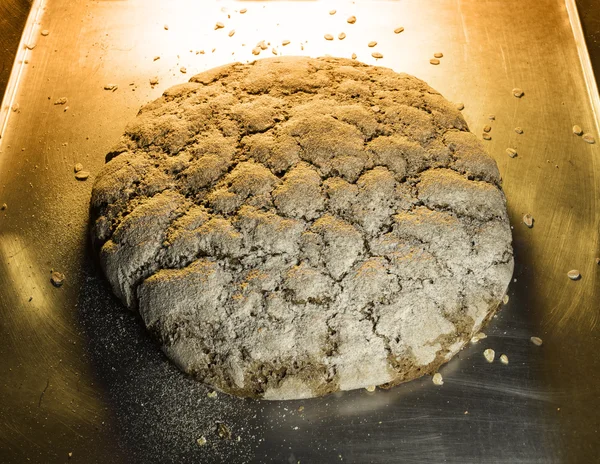 Gebakken brood van roggebrood op een bakplaat — Stockfoto