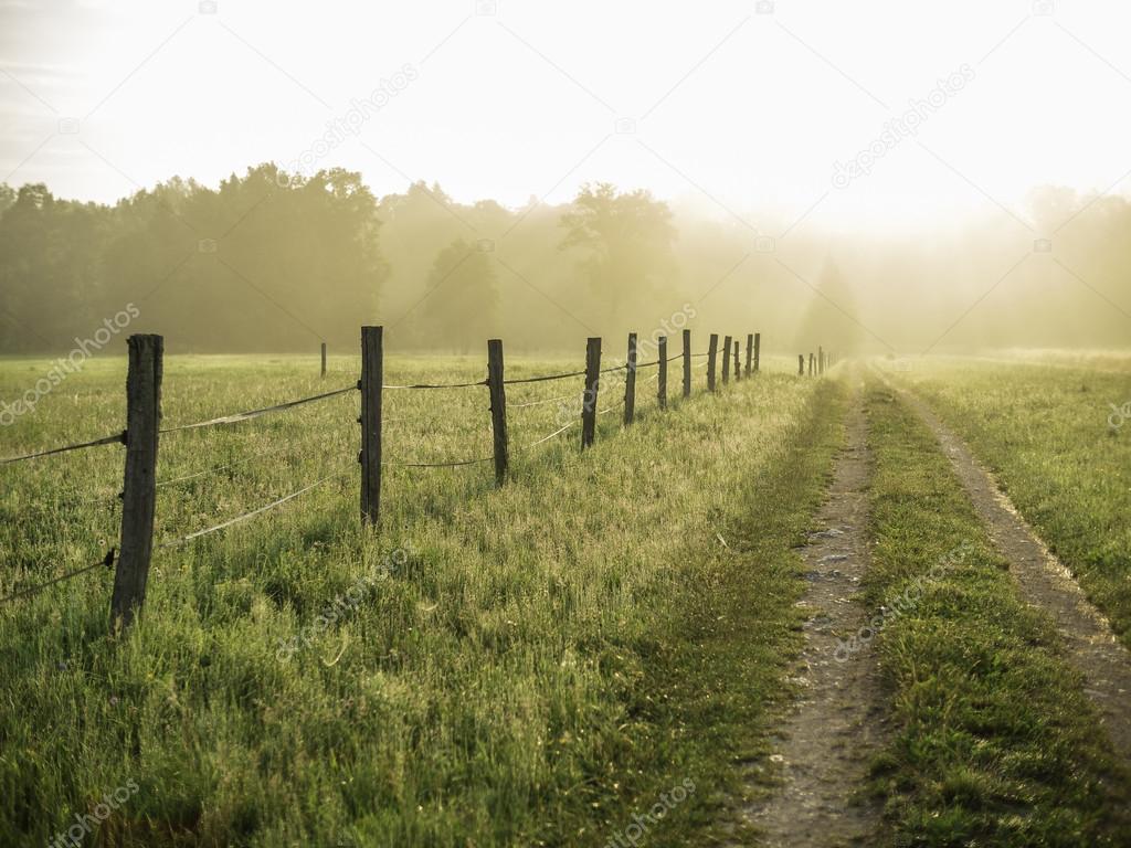 Meadow at sunrise and idyllic fence