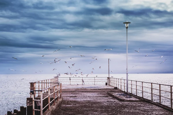 Yeni Athos, Abhazya. Riverside / kuşların uçuş basma. Se