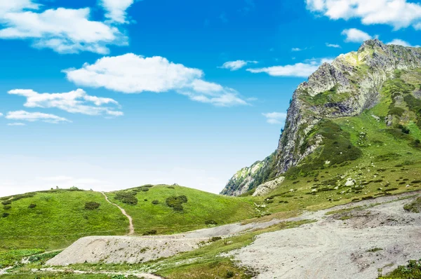 Güzel renkli dağ manzarası. Dağlarda yaz. Yani